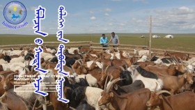 ᠮᠠᠯᠴᠢᠨ ᠤ ᠬᠣᠲᠠᠨ ᠠᠴᠠ ᠳᠡᠯᠡᠬᠡᠢ ᠶᠢᠨ ᠲᠡᠷᠪᠤᠮᠲᠠᠨ ᠨᠤᠭᠤᠳМалчны хотноос Дэлхийн тэрбумтнууд