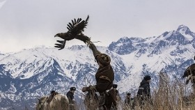 ᠳᠣᠯᠣᠭᠠᠨ ᠠᠩᠴᠢᠨДолоон анчин