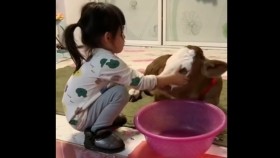 ᠬᠠᠢᠷᠠᠲᠠᠢ ᠲᠣᠭᠣᠯ  ᠳᠤ  ᠪᠠᠨ ᠨᠢᠭᠤᠷ ᠠᠮᠠ ᠨᠢ ᠤᠬᠢᠶᠠᠵᠤ ᠥᠭᠳᠡᠭ ᠬᠥᠭᠡᠷᠦᠬᠦᠨ ᠥᠬᠢᠨХайртай доголдоо нигуур ам нь угааж өгдөг хөөрхөн охин