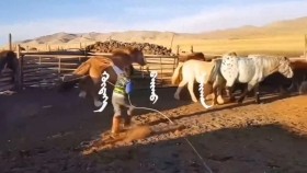 ᠪᠢᠴᠢᠬᠠᠨ ᠤᠷᠭᠠᠴᠢᠨ -ᠬᠥᠳᠡᠭᠡ ᠪᠠᠢᠬᠤ ᠰᠠᠢᠬᠠᠨБяцхан уургачин-хөдөө байх сайхан