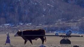 ᠮᠣᠩᠭᠣᠯᠵᠢᠨ ᠡᠵᠢ-ᠣᠬᠣᠷ ᠺᠢᠨᠣ᠋Монголжин ээж_ Short film