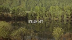 ᠨᠠᠨᠳᠢᠨ ᠲᠥᠷᠬᠦ-ᠪᠠᠭᠠᠲᠤᠷ-Нандин төрх