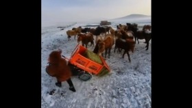 ᠬᠥᠭᠡᠷᠦᠬᠦᠨ ᠠᠵᠢᠯᠴᠢ ᠬᠦᠦХөөрхөн ажилч хүү