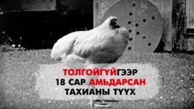 ᠲᠣᠯᠣᠭᠠᠢ ᠦᠭᠡᠢ ᠲᠠᠬᠢᠶ᠎ᠠ 2 ᠵᠢᠯ ᠠᠮᠢᠳᠤᠷᠠᠭᠰᠠᠨ ᠬᠠᠴᠢᠷᠬᠠᠯᠲᠠᠢ ᠲᠡᠦᠬᠡТолгойгүй Тахиа 2 жил Амьдарсан Хачирхалтай Түүх