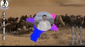 ᠲᠡᠮᠡᠭᠡ ᠲᠡᠢ ᠨᠤᠲᠤᠭ ᠳᠤᠯᠠᠭᠠᠬᠠᠨ ᠪᠠᠢᠳᠠᠭ- ᠪᠣᠳᠢᠰᠦᠶ᠋ᠷᠦᠩТэмээтэй нутаг дулаахан байдаг-Бодисурэн