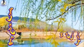 ᠬᠦᠷᠡᠩ ᠽᠠᠨᠳᠠᠨ ᠮᠣᠳᠣ-ᠪᠤᠤ ᠶᠢᠨ ᠲᠢᠩХүрэн зандан мод-Буу ин дин