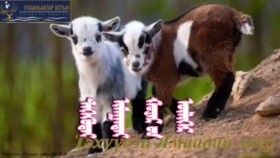 ᠲᠡᠬᠡᠬᠦᠳᠡᠢ ᠢᠮᠠᠭᠠᠳᠠᠢ ᠬᠣᠶᠠᠷ ᠤᠨ ᠦᠯᠢᠭᠡᠷТэгэхтэй ямаатай хоёрын үлгэр