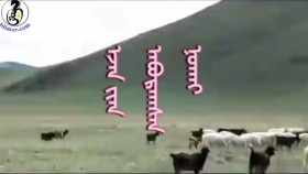 ᠡᠵᠡᠨ ᠢ᠋ᠶ᠋ᠡᠨ ᠠᠪᠤᠷᠠᠭᠰᠠᠨ ᠨᠣᠬᠠᠢЭзнээ аварсан нохой
