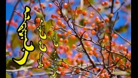 ᠠᠯᠲᠠᠷᠭᠠᠨ᠎ᠠ - ᠣ᠊ ∙ ᠠᠩᠬᠡᠴᠢᠮᠡᠭАлтаргана - О.Анхчимэг Altargana - O.Ankhchimeg