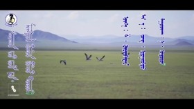 ᠰᠠᠢᠬᠠᠨ ᠴᠤ᠌ ᠶᠤᠮ ᠳᠠ ᠮᠣᠩᠭᠣᠯ ᠬᠥᠮᠦᠨ ᠪᠣᠯᠵᠤ ᠲᠥᠷᠥᠬᠦ-ᠨ∙ ᠤᠨᠳᠤᠷᠤᠯН.Ундрал МУСТА-Сайхан ч юмдаа монгол хүн болж төрөх. L Undral-Saihan ch yumdaa mongol hun bolj turuh