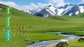 ᠮᠢᠨᠦ ᠨᠤᠲᠤᠭ ᠰᠦᠪᠸᠢ-ᠰᠦᠮᠪᠦᠷМиний нутаг сүвви-Сүмбэр