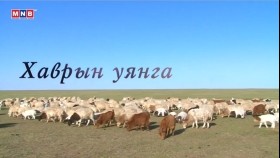 ᠲᠥᠯ ᠲᠠᠪᠤᠨ ᠡᠷᠳᠡᠨᠢ᠎ ᠬᠠᠪᠤᠷ ᠤᠨ ᠤᠶᠠᠩᠭ᠎ᠠТөл таван эрдэнэ_ Хаврын уянга