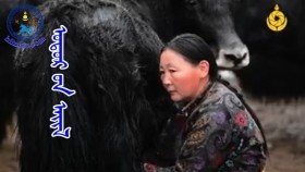 ᠣᠲᠣᠷ ᠤᠨ ᠠᠢᠯОторын айл-otoriinail