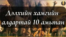 ᠳᠡᠯᠡᠬᠡᠢ ᠶᠢᠨ ᠬᠠᠮᠤᠭ ᠤᠨ ᠠᠯᠳᠠᠷᠲᠠᠢ 10 ᠠᠮᠢᠲᠠᠨДэлхийн хамгийн алдартай 10 амьтан