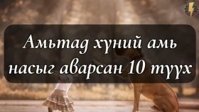 ᠠᠮᠢᠲᠠᠳ ᠬᠥᠮᠦᠨ ᠦ ᠠᠮᠢ ᠨᠠᠰᠤ ᠶᠢ ᠠᠪᠤᠷᠠᠭᠰᠠᠨ 10 ᠲᠡᠦᠬᠡ - ᠪᠠᠭᠠᠲᠤᠷᠯᠢᠭ ᠠᠮᠢᠲᠠᠳАмьтад хүний амь насыг аварсан 10 түүх - Баатарлаг амьтад