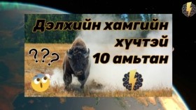 ᠳᠡᠯᠡᠬᠡᠢ ᠶᠢᠨ ᠬᠠᠮᠤᠭ ᠤᠨ ᠬᠦᠴᠦᠲᠡᠢ ᠬᠠᠵᠠᠳᠠᠭ 10 ᠠᠮᠢᠲᠠᠨДэлхийн хамгийн хүчтэй хаздаг 10 амьтан