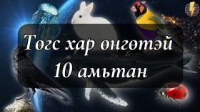 ᠲᠡᠭᠦᠰ ᠬᠠᠷ᠎ᠠ ᠥᠩᠭᠡᠲᠡᠢ 10 ᠠᠮᠢᠲᠠᠨТөгс хар өнгөтэй 10 амьтан