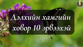 ᠳᠡᠯᠡᠬᠡᠢ ᠶᠢᠨ ᠬᠠᠮᠤᠭ ᠤᠨ ᠬᠣᠪᠣᠷ 10 ᠡᠷᠪᠡᠬᠡᠢДэлхийн хамгийн ховор 10 эрвээхэй