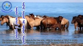 ᠠᠭᠤᠯᠠ ᠤᠰᠤᠨ ᠤ ᠳ᠋ᠧᠪᠠᠵᠠᠨ ᠤᠪᠰᠤ ᠨᠤᠲᠤᠭ ᠲᠤ ᠲᠠᠪᠠᠲᠠᠢ ᠮᠣᠷᠢᠯᠠУул усны диваажин Увс нутагт тавтай морил-2019 он