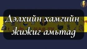 ᠳᠡᠯᠡᠬᠡᠢ ᠶᠢᠨ ᠬᠠᠮᠤᠭ ᠤᠨ ᠵᠢᠵᠢᠭ ᠠᠮᠢᠲᠠᠳДэлхийн хамгийн жижиг амьтад