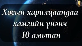 ᠬᠣᠣᠰ ᠤᠨ ᠬᠠᠷᠢᠯᠴᠠᠭᠠᠨ ᠳᠤ ᠪᠠᠨ ᠬᠠᠮᠤᠭ ᠤᠨ ᠦᠨᠡᠨᠴᠢ 10 ᠠᠮᠢᠲᠠᠨХосын харилцаандаа хамгийн үнэнч 10 амьтан