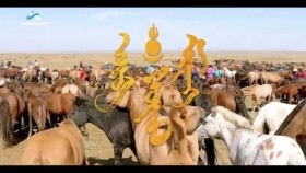 ᠳᠡᠮᠪᠡᠭᠡᠨ ᠦ ᠲᠤᠬᠠᠢ-ᠥᠪ ᠨᠡᠪᠲᠡᠷᠡᠭᠦᠯᠭᠡ [ Өв ] нэвтрүүлэг Дэмбээний тухай