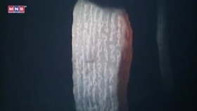 ᠡᠬᠡ ᠬᠡᠯᠡ᠎ ᠤᠢᠭᠤᠷ ᠪᠢᠴᠢᠭЭх хэл_ Уйгур бичиг