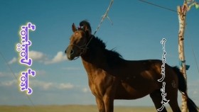 ᠮᠣᠩᠭᠣᠯ ᠮᠣᠷᠢ -ᠭ ᠡᠩᠬᠡᠴᠡᠴᠡᠭ Монгол морь-Г,ЭнхцэцэгEnkhtsetseg - Mongol Mori