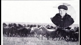 ᠠᠳᠤᠭᠤᠴᠢᠨ ᠫᠧᠷᠯᠠᠢ ᠶᠢᠨ ᠭᠠᠢᠬᠠᠮᠰᠢᠭᠲᠤ ᠦᠯᠢᠭᠡᠷ-ᠮᠠᠨᠳᠤᠯ᠎ᠠАдуучин пэрлэйн гайхамшигт үлгэр-Мандлаа