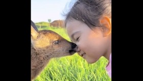 ᠪᠢᠴᠢᠬᠠᠨ ᠢᠨᠵᠠᠭ᠎ᠠ ᠪᠠ ᠥᠬᠢᠨБяцхан янзага ба Охин