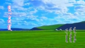 ᠵᠢᠷᠦᠬᠡᠨ ᠦ᠌ ᠬᠣᠩᠭᠣᠷ ᠪᠠᠭᠠᠷᠢᠨ-ᠰᠡᠴᠡᠨᠪᠢᠯᠢᠭЗүрхний хонгор бааарин-Цэцэнбилиг