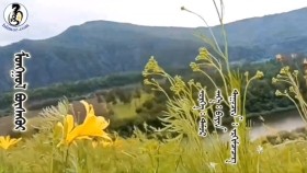 ᠮᠣᠩᠭᠣᠯ ᠪᠦᠰᠡᠭᠦᠢ -ᠡᠷᠬᠢᠮᠴᠡᠴᠡᠭ Монгол бүсгүй-Эрхэмцэцэг
