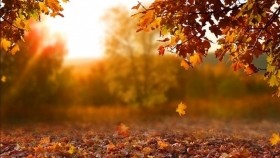 ᠪᠣᠳᠣᠯ ᠲᠥᠭᠡᠷᠢᠭᠳᠡᠭᠰᠡᠨ ᠨᠠᠮᠤᠷ -ᠰᠢᠨ᠎ᠡБодол төөрөгдсөн намар-Шинэ