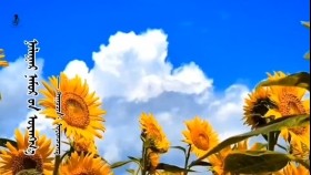 ᠨᠠᠯᠠᠭᠠᠷ ᠨᠠᠮᠤᠷ ᠤ᠋ᠨ ᠤᠶᠠᠩᠭ᠎ᠠ-ᠣᠶᠤᠨᠴᠡᠴᠡᠭНалгар намрын уянга-Оюунцэцэг