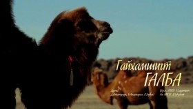 ᠎ᠭᠠᠢᠬᠠᠮᠰᠢᠭᠲᠤ ᠭᠠᠯᠪᠠ᠎ -ᠭᠠᠯᠪᠠ ᠶᠢᠨ ᠮᠠᠭᠲᠠᠭᠠᠯГайхамшигт Галба_ (Gaikhamshigt galba) магтаал - _Galbiin magtaal_ (Галбын магтаал)