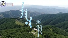 ᠲᠩᠷᠢᠯᠢᠭ ᠵᠠᠶᠠᠭᠠᠨ ᠤ᠋ ᠬᠤᠷᠤᠢ – ᠦᠭᠡ ᠄ ᠨᠠᠰᠤᠨ᠂ ᠠᠶ᠎ᠠ᠄ ᠵᠠᠩ ᠬᠣᠩ ᠭᠤᠸᠠᠩ ᠂ᠳᠠᠭᠤᠤ᠄ ᠰᠠᠷᠠᠩᠬᠣᠸᠠᠷ ᠬᠠᠰᠴᠡᠴᠡᠭ ᠨᠠᠷ  Тэнгэрлэг заяаны хорой – Үгээ ᠄ Насан ᠂ Аяа᠄ Зан хон гуан ᠂ Дуу᠄ Саранхуар Хасцэцэг нар