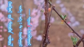 ᠬᠠᠩᠭᠠᠢ ᠶ᠋ᠢᠨ ᠳᠥᠷᠪᠡᠨ ᠤᠯᠠᠷᠢᠯ-ᠬᠥᠭᠵᠢᠯᠪᠠᠭᠠᠲᠤᠷХангайн дөрвөн улирал-Хөгжилбаатар