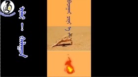 ᠢᠯᠡᠢ ᠬᠠᠯᠠᠭᠤᠨИлий халуун