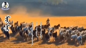 ᠮᠣᠷᠢ ᠮᠢᠨᠢ -ᠲᠤᠯᠭᠠᠲᠠᠨ ᠬᠠᠮᠲᠤᠯᠢᠭМорь минь-Тулгатан Хамтлаг