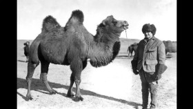 ᠭᠤᠶᠤᠯᠭᠠᠴᠢᠨ ᠢᠷᠡᠭᠡᠳ ᠮᠣᠩᠭᠣᠯ ᠤᠨ ᠬᠥᠮᠦᠨ ᠪᠣᠯᠤᠭᠰᠠᠨ ᠲᠡᠦᠬᠡШведээс гуйлгачин ирээд монголын гүн болсон түүх _болсон явдал _түүх